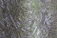 Elveden fibreglass roof work